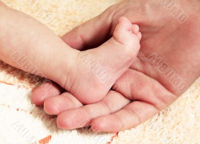 Baby legs