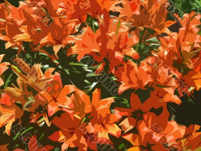 red lilies
