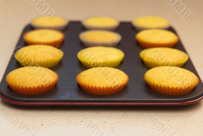 Freshly backed cupcakes on a backing tray. Shallow depth of fiel