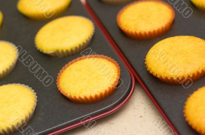 Freshly backed cupcakes on a backing tray. Shallow depth of fiel