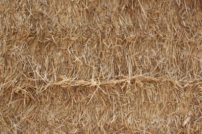 straw