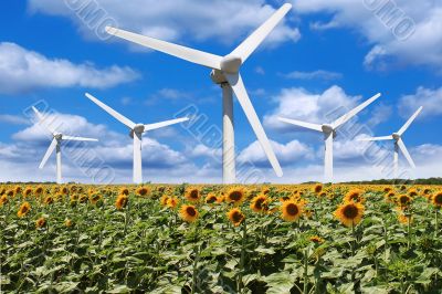 Windmill in a field of sunflowers