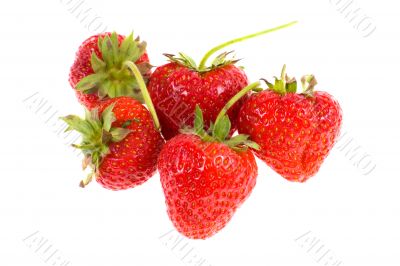 strawberry