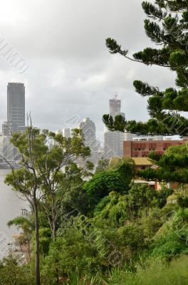 City through the green