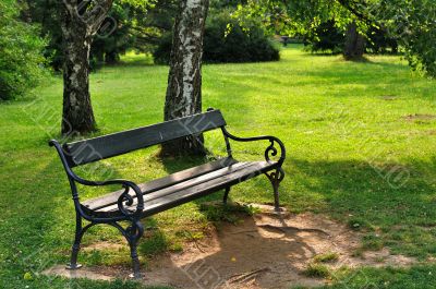 Bench in park