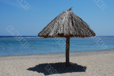 umbrella at the beach