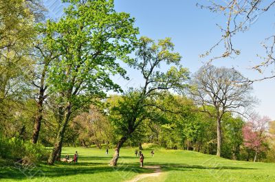 Spring morning