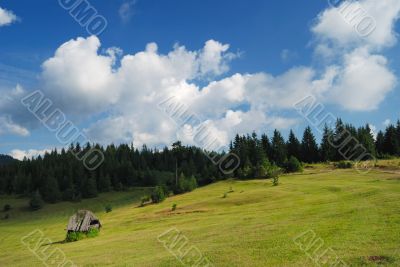 Field and sky