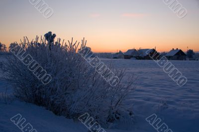 russian winter