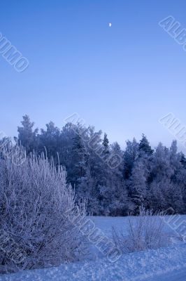 russian winter