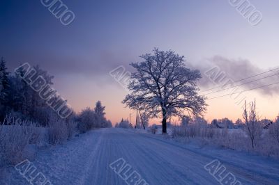 russian winter