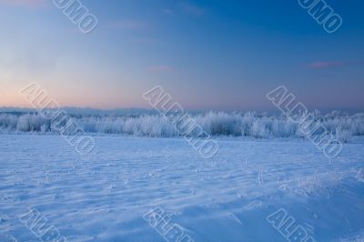 russian winter