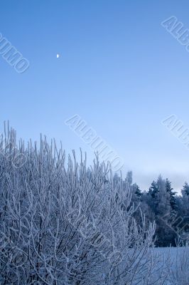 russian winter