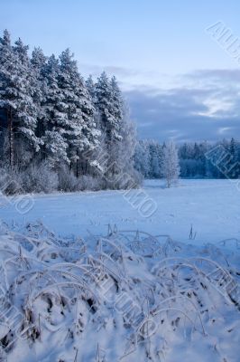 russian winter