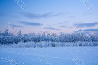 russian winter