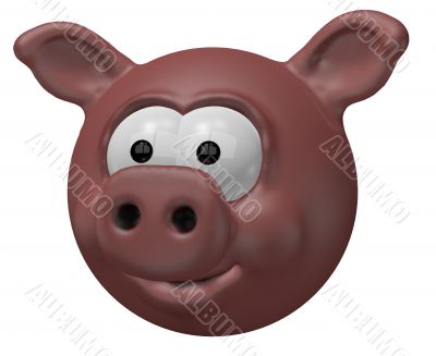 pig