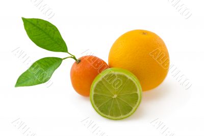 Orange, lime and mandarin isolated on white