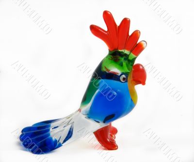 Glass parrot