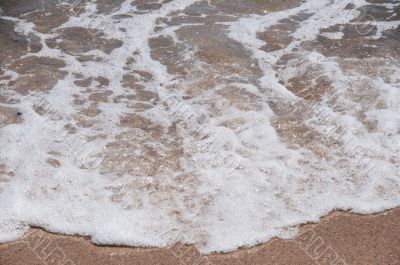 Foam