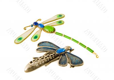 Dragonflies
