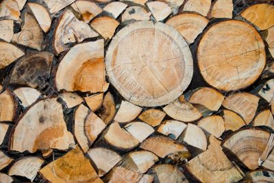 Chopped trees