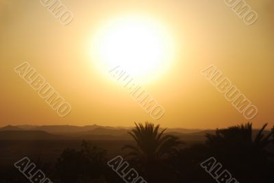 sunset with palm trees and mountain