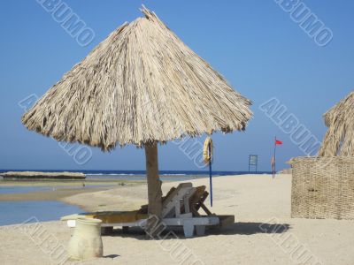lying on the beach