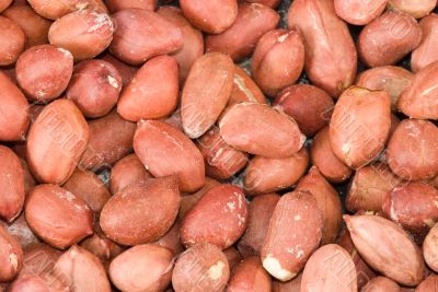 Peanuts macro