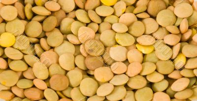 Lentils