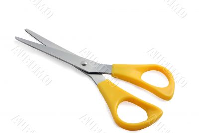 Yellow scissors