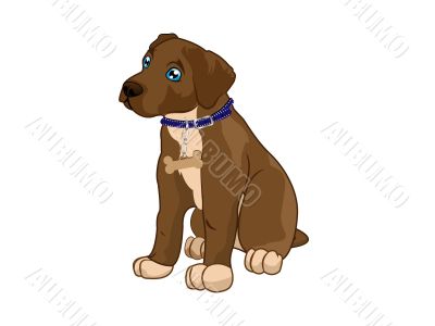 dog pet vector