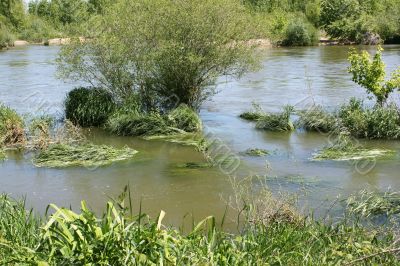 River