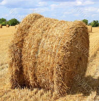 haystack