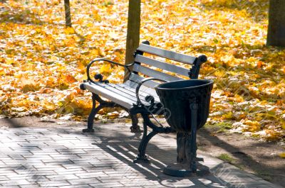 bench in park