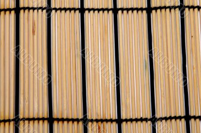 bamboo background