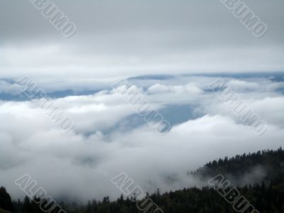 Mountains; clouds, a fog, wood, trees