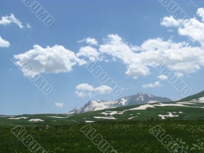 the Alpine meadows