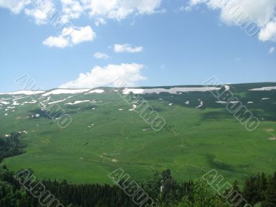the Alpine meadows