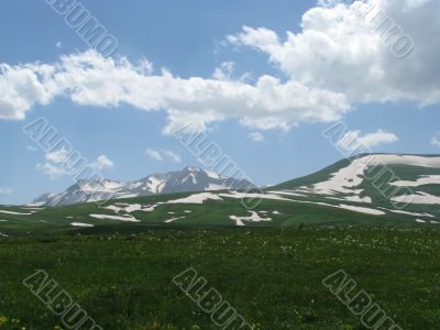 the Alpine meadows