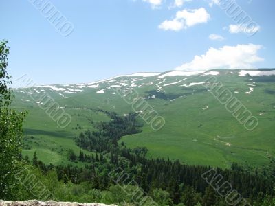 the Alpine meadows