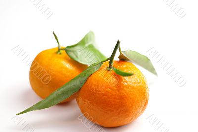 Tangerine with leaves