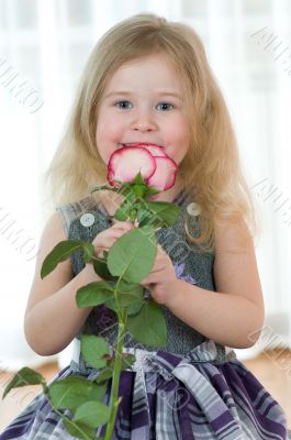 girl with rose