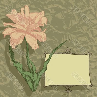 floral background