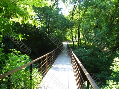 The bridge across ravine