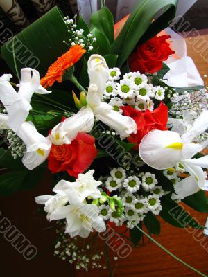 Petal