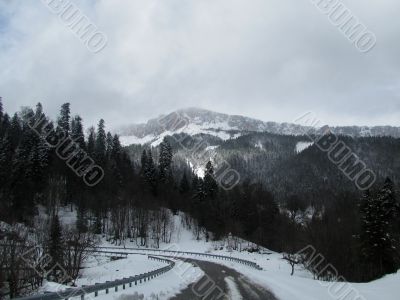 winter