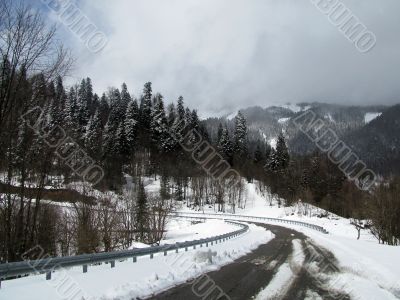 winter