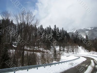 winter