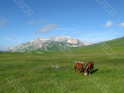 Mountains