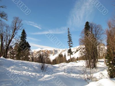 winter